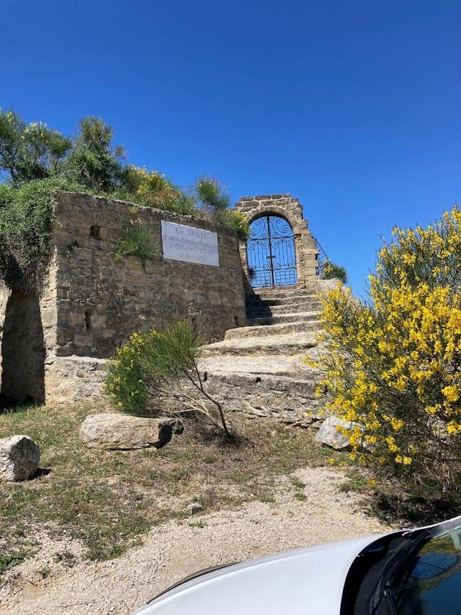 Ferienwohnung Bienvenue Chez Shiva Châteauneuf-du-Pape Exterior foto
